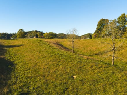 Offering #2 - +/- 13 AC 