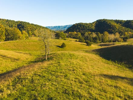 Offering #2 - +/- 13 AC 