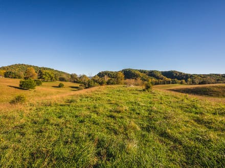 Offering #1 - +/- 13 AC