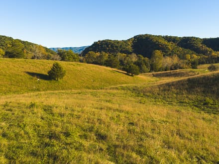 Offering #1 - +/- 13 AC