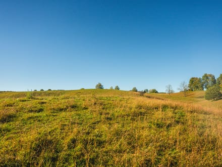 Offering #1 - +/- 13 AC