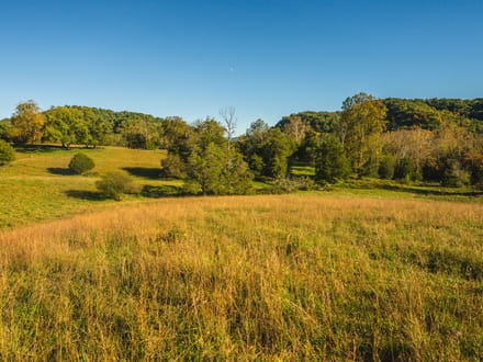 Offering #1 - +/- 13 AC