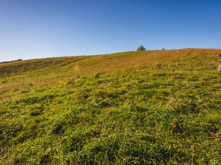 Offering #1 - +/- 13 AC