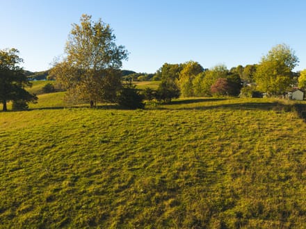 Offering #3- +/- 13 AC