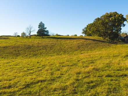 Offering #3- +/- 13 AC