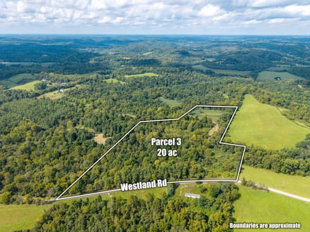 Multi-Parcel Auction 130.029 acres Morgan County 