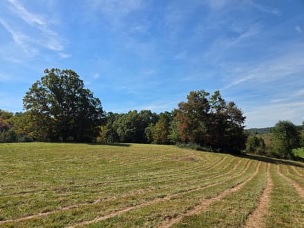 Offering #2 – +/- 37.868 Acres