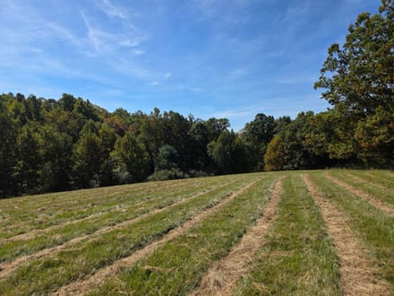 Offering #2 – +/- 37.868 Acres