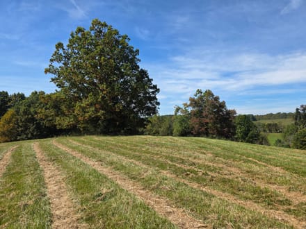 Offering #2 – +/- 37.868 Acres