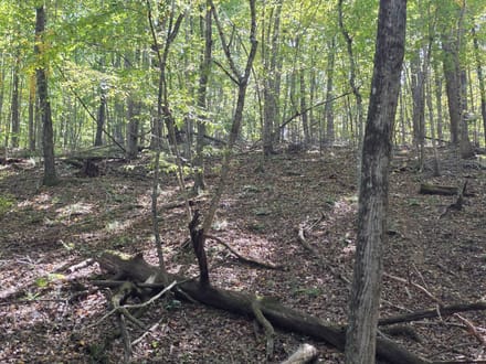 Offering #2 – +/- 37.868 Acres