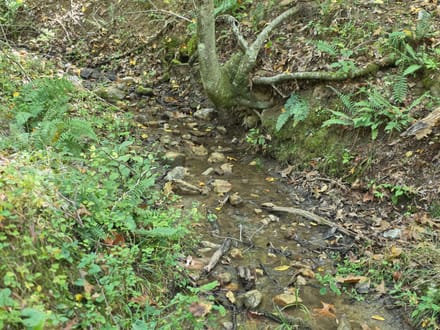 Offering #2 – +/- 37.868 Acres