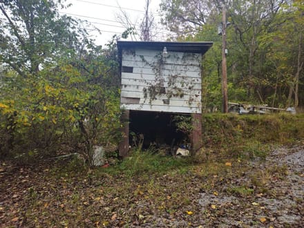 Recreational Land for Sale in Lee County 