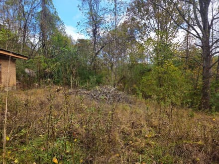 Recreational Land for Sale in Lee County 
