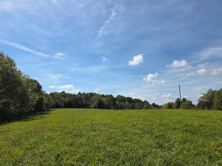 Offering #1 – +/- 18.064 Acres with Country Home