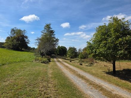 Offering #1 – +/- 18.064 Acres with Country Home