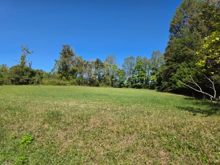 Historic Home for Sale in Critz VA 