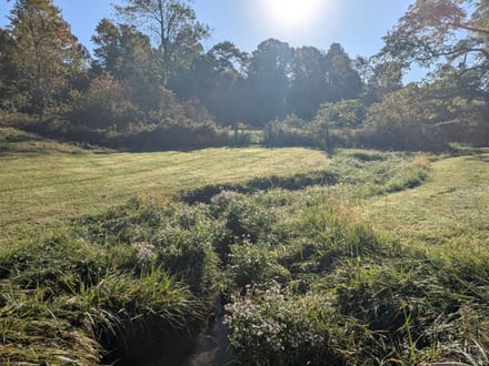 Farmhouse & Farm for Sale in Check VA 