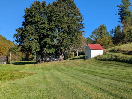 Farmhouse & Farm for Sale in Check VA 