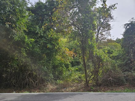 Wooded Lots for Sale in Bristol VA 