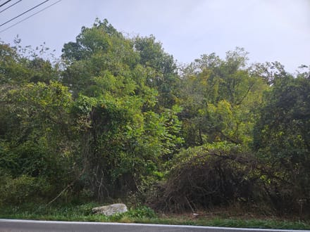 Wooded Lots for Sale in Bristol VA 