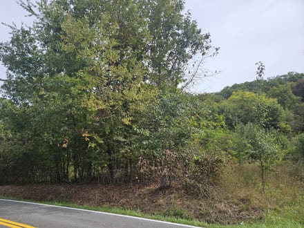Wooded Lots for Sale in Bristol VA 