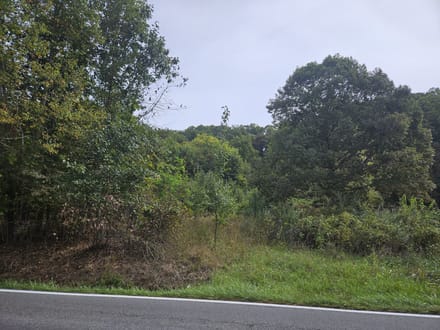 Wooded Lots for Sale in Bristol VA 