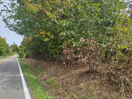 Wooded Lots for Sale in Bristol VA 