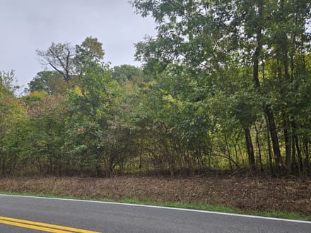 Wooded Lots for Sale in Bristol VA 