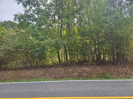 Wooded Lots for Sale in Bristol VA 