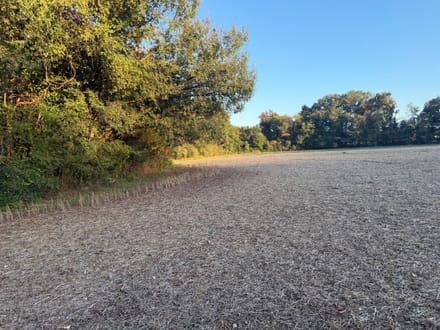Gurley Pike Mini Farm Lot A