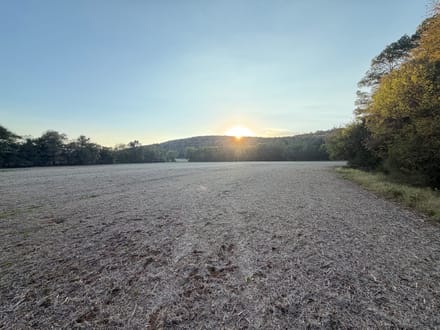 Gurley Pike Mini Farm Lot A