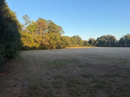 Gurley Pike Mini Farm Lot A