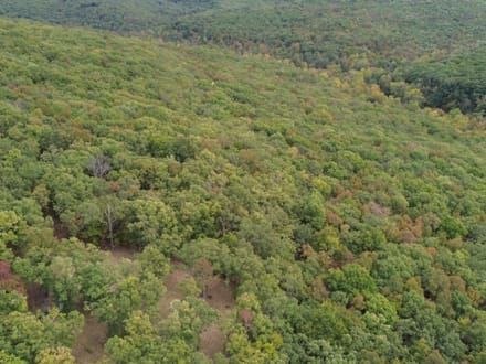  TBD Madison 3370, Witter, AR 72776