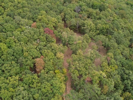  TBD Madison 3370, Witter, AR 72776