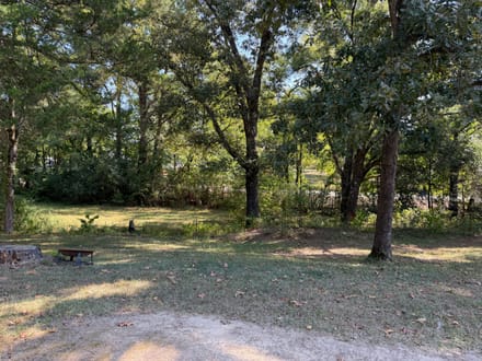 Calhoun County Home