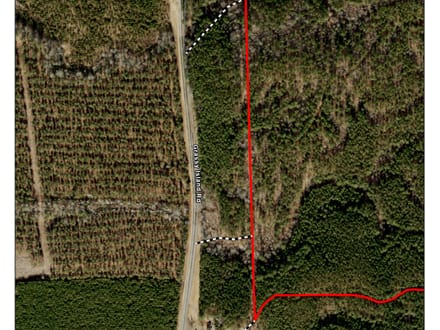 202.59+/- Acres Grassy Island Rd Ellerbe NC