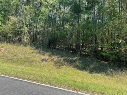 202.59+/- Acres Grassy Island Rd Ellerbe NC