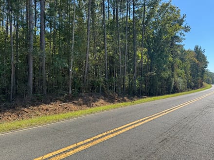 202.59+/- Acres Grassy Island Rd Ellerbe NC