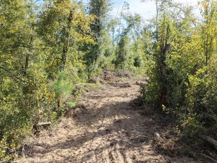 5 Acres- Hopewell Farms, Madison County 