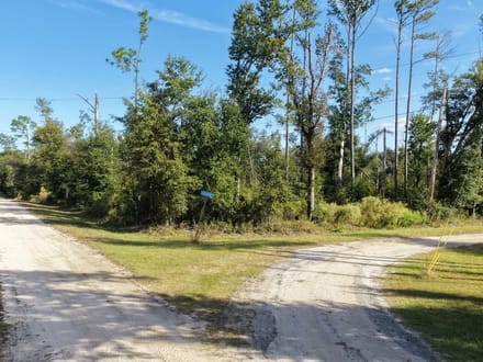 5 Acres- Hopewell Farms, Madison County 