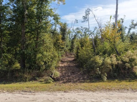 5 Acres- Hopewell Farms, Madison County 