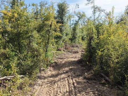 5 Acres- Hopewell Farms, Madison County 
