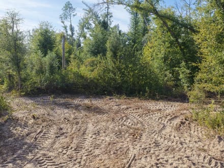 5 Acres- Hopewell Farms, Madison County 