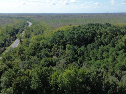 Bertie county tract on the Cashie river