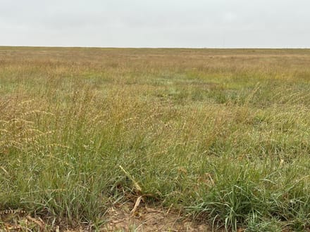 GRANT COUNTY KS 314 ACRES WITH WATER RIGHTS AND CRP INCOME