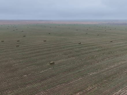 GRANT COUNTY KS 314 ACRES WITH WATER RIGHTS AND CRP INCOME