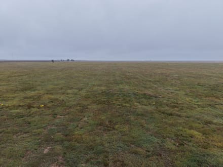 GRANT COUNTY KS 314 ACRES WITH WATER RIGHTS AND CRP INCOME
