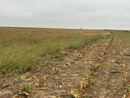 GRANT COUNTY KS 314 ACRES WITH WATER RIGHTS AND CRP INCOME