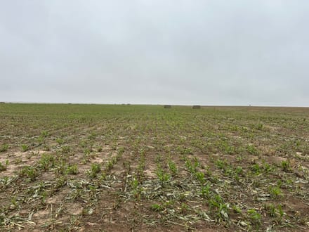 GRANT COUNTY KS 314 ACRES WITH WATER RIGHTS AND CRP INCOME