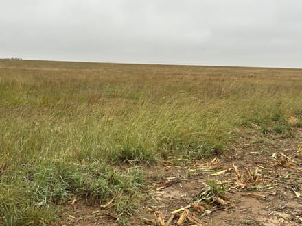 GRANT COUNTY KS 314 ACRES WITH WATER RIGHTS AND CRP INCOME